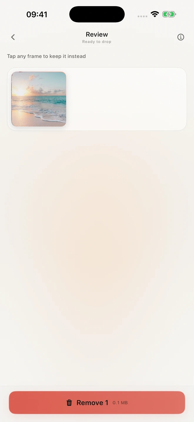 Photo Clean deletion review screen